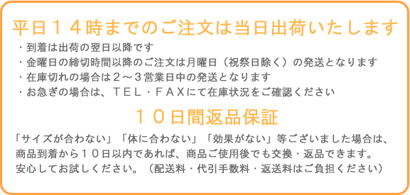 当日発送・返品保証